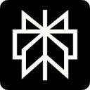 Perplexity AI logo